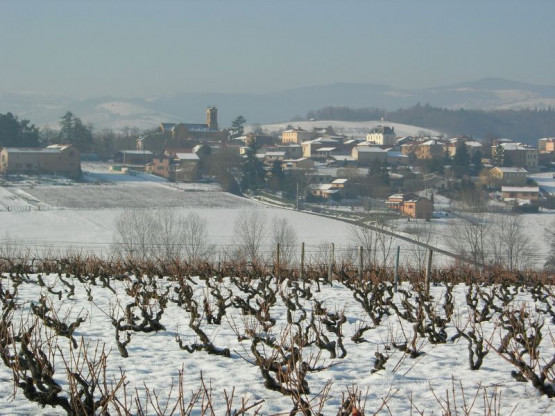 FERMETURE DU DOMAINE POUR LES FETES