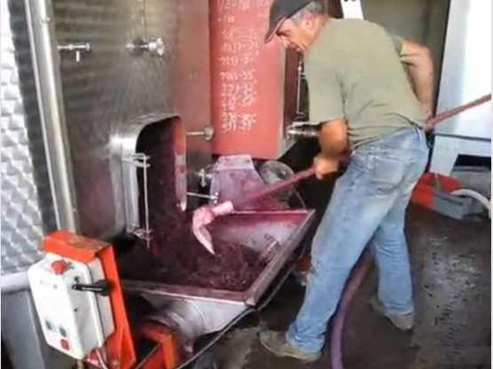 Vidéo - La vinification - septembre 2011