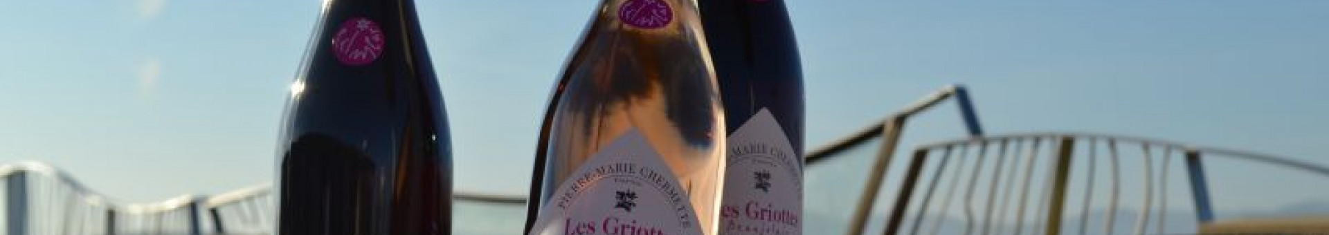 LES BEAUJOLAIS PRIMEURS