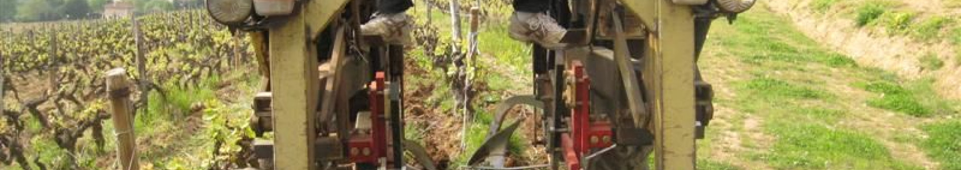 Tilling or shallow ploughing between the vines - April, 2010