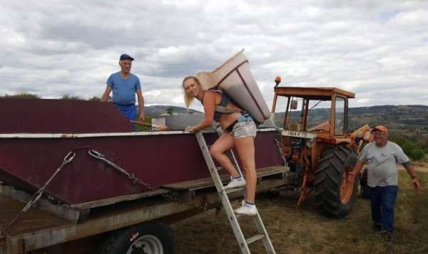 HARVEST 2017 : Beaujolais from September 1st to 21st