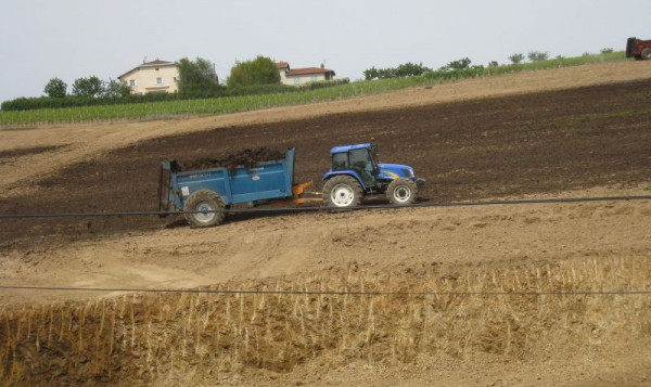 PLANTATION DES NOUVELLES VIGNES DE GAMAY - JUIN 2014