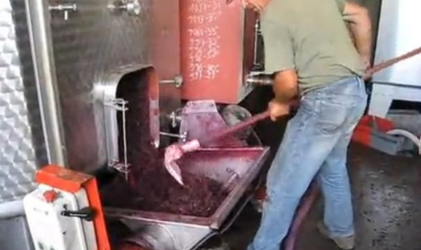 Vidéo - La vinification - septembre 2011