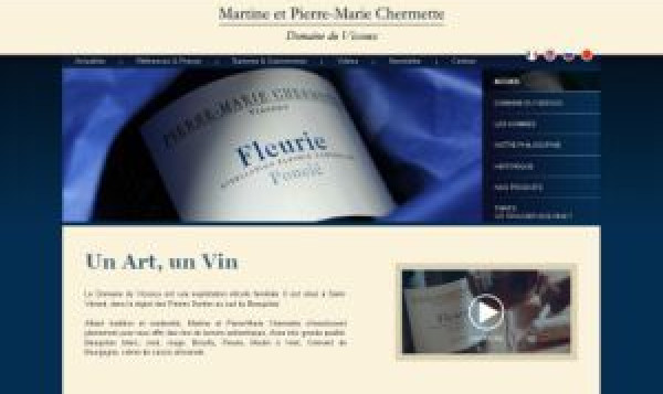 Results of the election of the Best Winemaker Website