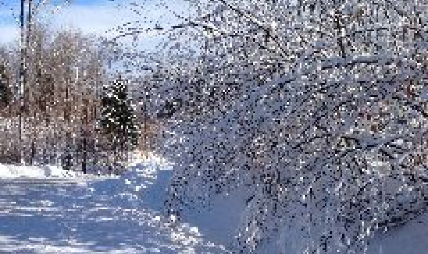 Neige au Québec