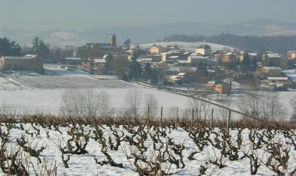 La neige au Vissoux - Février 2010