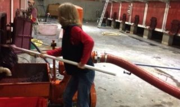 HARVEST 2016 - VINIFICATION BECOMES MORE FEMININE