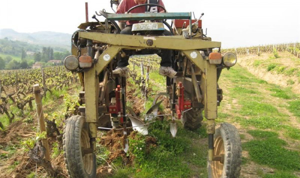 Tilling or shallow ploughing between the vines - April, 2010